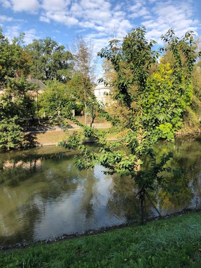 Apartament Nad Mlynowka Opole Zewnętrze zdjęcie